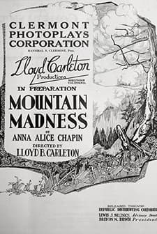 Mountain Madness (1920) afişi
