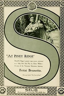 At Piney Ridge (1916) afişi