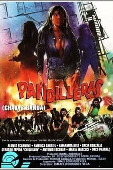 Pandilleras (1994) afişi