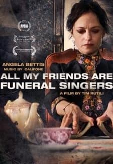 All My Friends Are Funeral Singers afişi