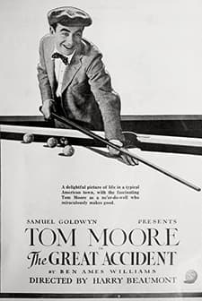 The Great Accident (1920) afişi