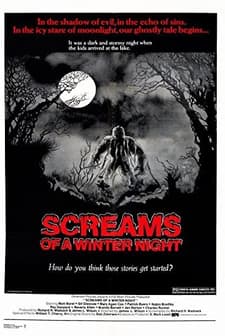 Bir Kış Gecesi çığlıklar (1979) afişi