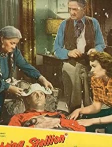 The Fighting Stallion (1950) afişi