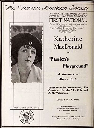 Passion's Playground (1920) afişi