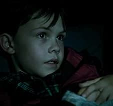 Fences (2009) afişi