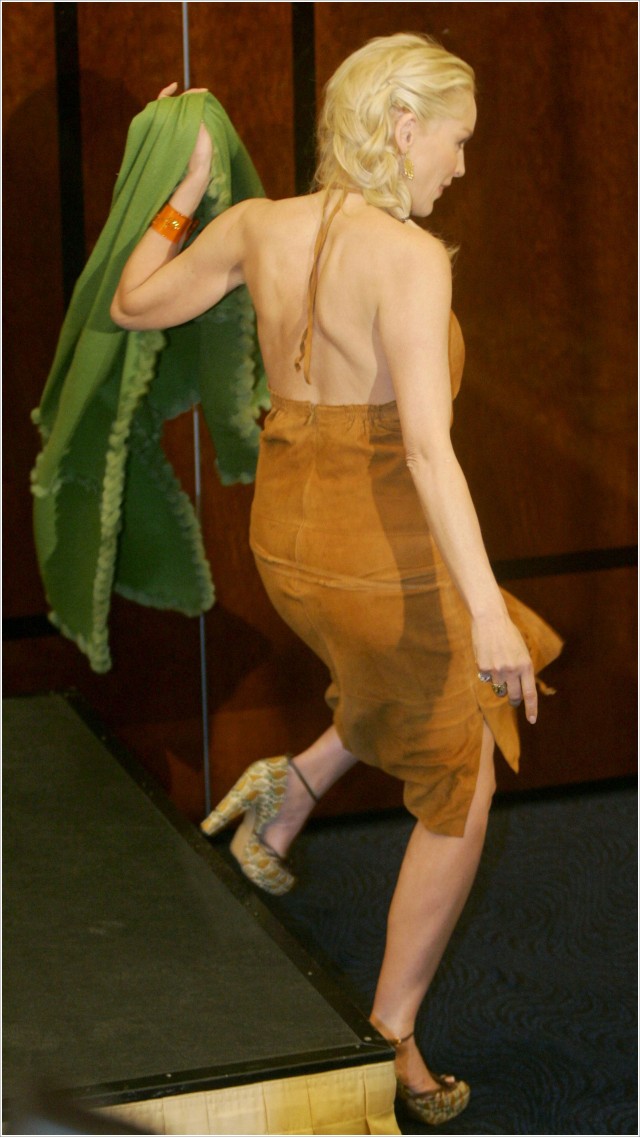 Temel İçgüdü 2 Fotoğrafı