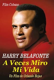 A Veces Miro Mi Vida (1982) afişi