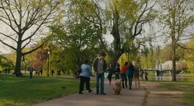 Ayı Teddy fotoğrafı