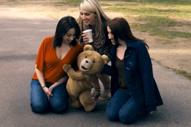 Ayı Teddy Fotoğrafı