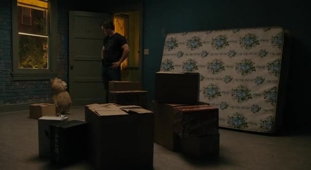 Ayı Teddy Fotoğrafı