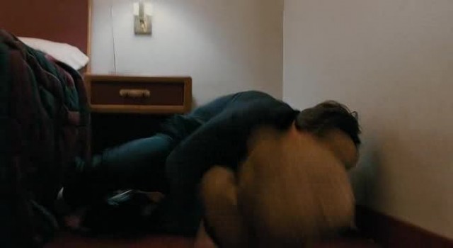 Ayı Teddy Fotoğrafı