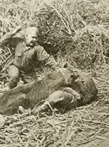 The Jungle Master (1914) afişi