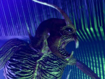 Despiser fotoğrafı