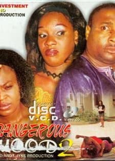 Dangerous Mood 2 (2001) afişi