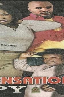 Sensational Spy (2004) afişi