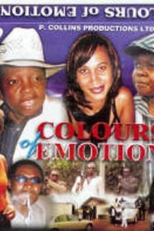 Colours Of Emotion (2005) afişi