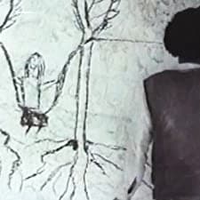 Sel'kincek (1994) afişi