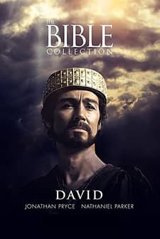 David (1997) afişi