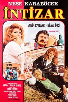 İntizar (1973) afişi