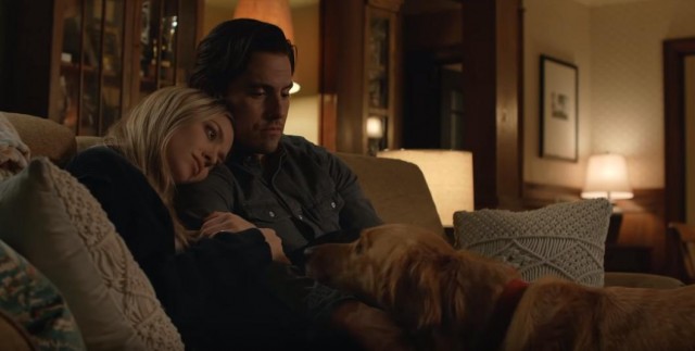 Enzo: Yağmurda Yarış Sanatı fotoğrafı