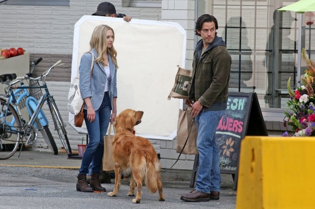 Enzo: Yağmurda Yarış Sanatı fotoğrafı