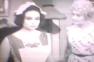 Bir Demet Yasemen fotoğrafı