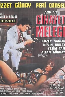 Aşk Ve Cinayet Meleği (1972) afişi