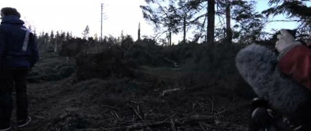 Troll Avı Fotoğrafı