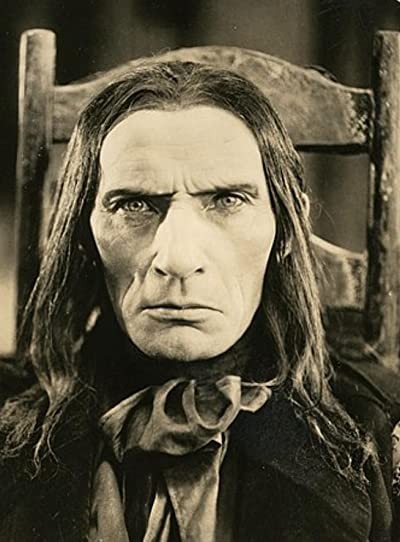 Die Schwarze Pantherin (1921) afişi