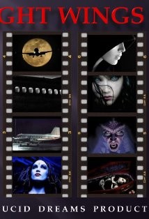 Night Wings afişi
