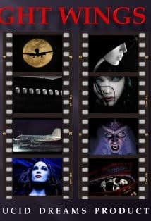 Night Wings afişi