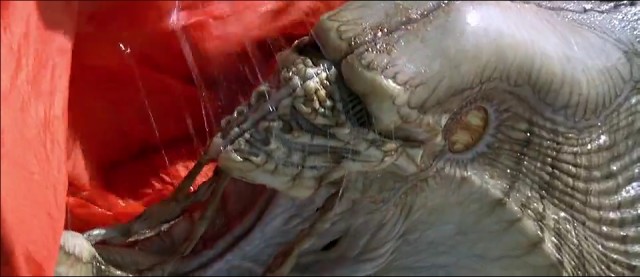 Kurtuluş Günü Fotoğrafı