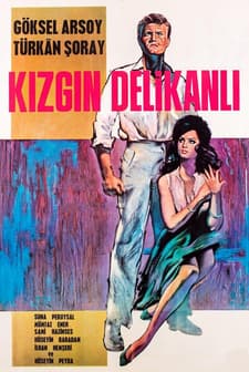 Kızgın Delikanlı (1964) afişi