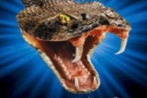 Sessiz Tehlike fotoğrafı