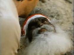 Timsah Avcısı fotoğrafı