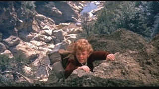 Napoleon And Samantha Fotoğrafı