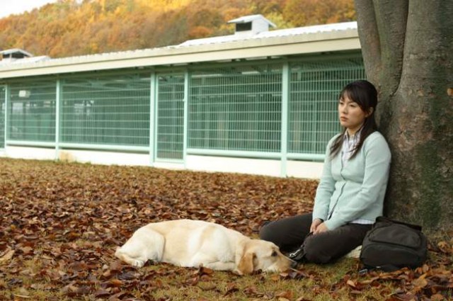 Aşkım Tohram fotoğrafı