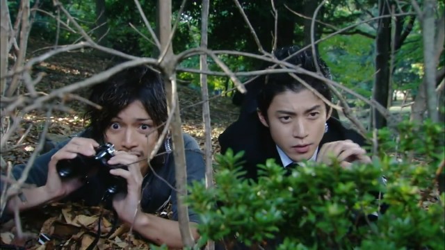 Tokyo Köpekleri Fotoğrafı