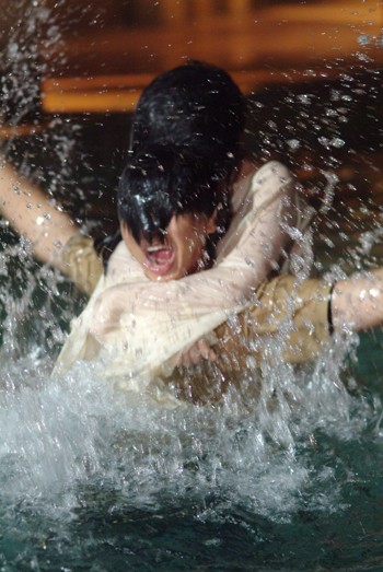 Skrip 7707 fotoğrafı