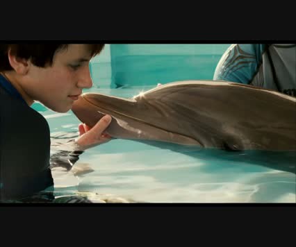 Bir Yunusun Hikayesi fotoğrafı