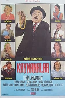 Kaynanalar (1974) afişi