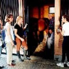 Flying Changes fotoğrafı