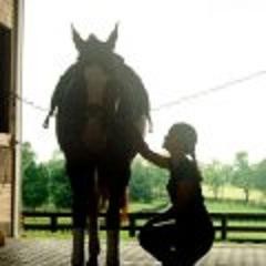 Flying Changes fotoğrafı