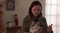 Şu Lanet Kedi fotoğrafı