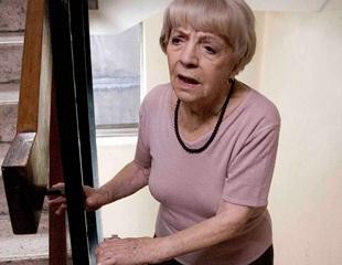 Old Cats Fotoğrafı