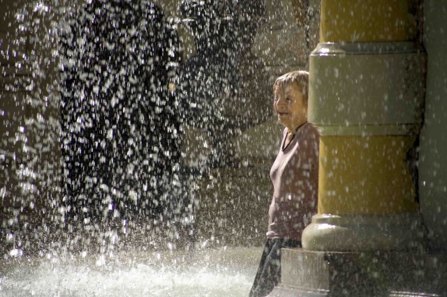 Old Cats fotoğrafı