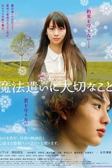 Mahô Tsukai Ni Taisetsu Na Koto (2008) afişi