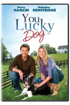 Aile Toplantısı (2010) afişi