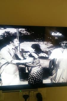 Adambaralu Anubhandalu (1974) afişi