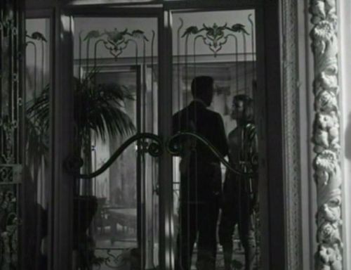 The Female Animal fotoğrafı